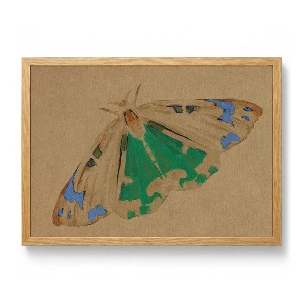 Delicate Green Moth by Josie George