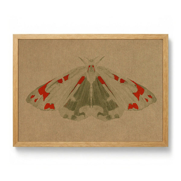 Elegant Red Moth by Josie George