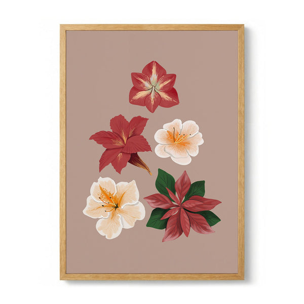 Christmas Flowers de Anis Illustration
