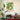 A Chronology of Chairs by WallChart Art Studio - Kuriosis Fine Art GmbH