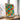 A Chronology of Chairs by WallChart Art Studio - Kuriosis Fine Art GmbH