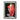 Advertisement for Lamps by Reijer Stolk - Kuriosis Fine Art GmbH