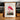 American Pink Flamingo Animal Print - Kuriosis Fine Art GmbH