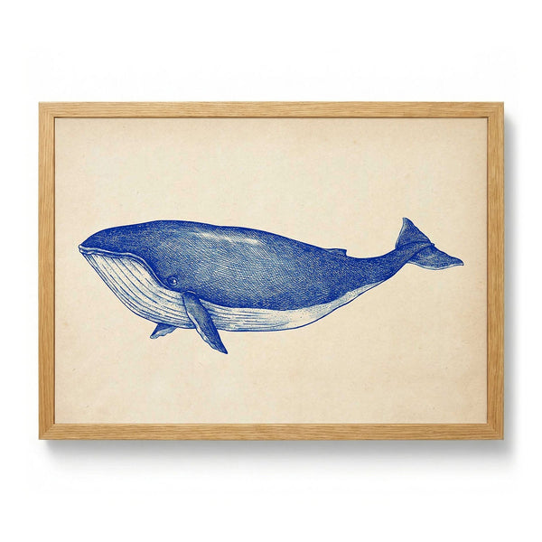 Antique Blue Whale