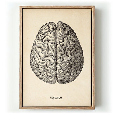 Antique Brain
