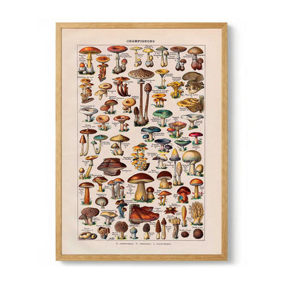 Antique Champignon by Adolphe Millot