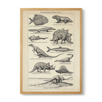Antique Dinosaurs and Fossils