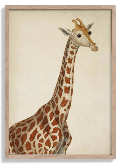 Antique Giraffe