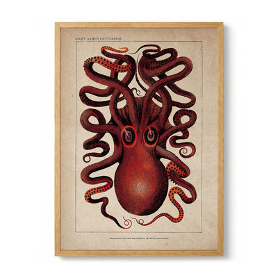 Antique Red Octopus