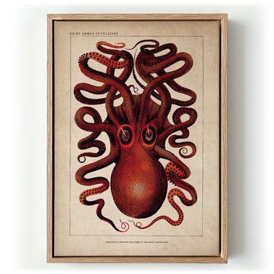 Antique Red Octopus