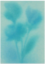 Aqua Bloom Silhouette by Frida Floral Studio - Kuriosis Fine Art GmbH