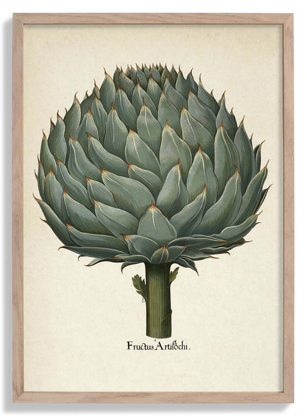 Artichoke