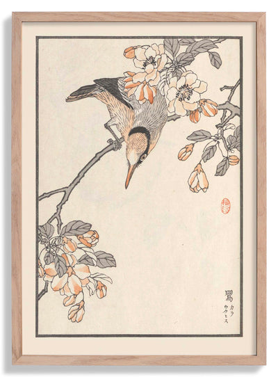 Bairei hyakucho gafu. Ten Pl.15 by Kono Bairei