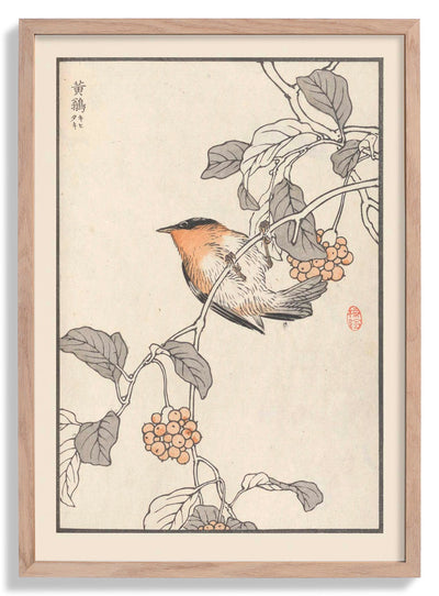 Bairei hyakucho gafu. Ten Pl.16 by Kono Bairei