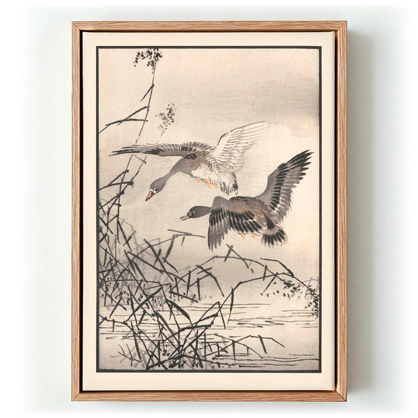 Bairei hyakucho gafu. Ten Pl.27 by Kono Bairei - Kuriosis Fine Art GmbH