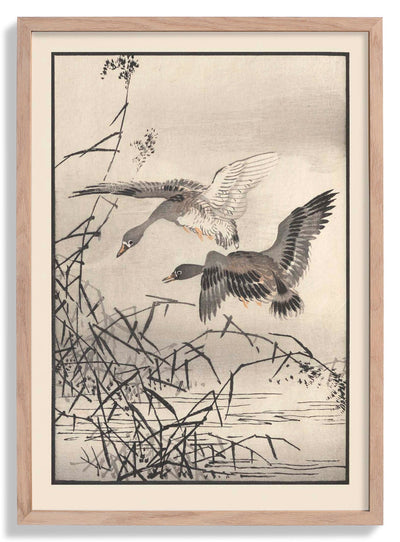 Bairei hyakucho gafu. Ten Pl.27 by Kono Bairei