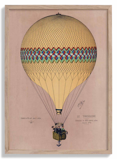 Balloon Tricolore Pink