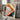 Bauhaus-Gestalt. Rad. Moderne Shape. Wheel. Modern by Fadil Roze - Kuriosis Fine Art GmbH