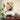 Bauhaus-Gestalt. Rad. Moderne Shape. Wheel. Modern by Fadil Roze - Kuriosis Fine Art GmbH