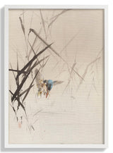 Bird Catching Fish Among Reeds by WANTANABE SEITEI - Kuriosis Fine Art GmbH