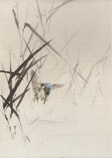 Bird Catching Fish Among Reeds by WANTANABE SEITEI - Kuriosis Fine Art GmbH