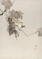 Birds on a Branch by WANTANABE SEITEI - Kuriosis Fine Art GmbH