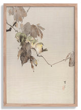 Birds on a Branch by WANTANABE SEITEI - Kuriosis Fine Art GmbH