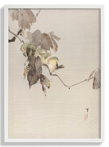 Birds on a Branch by WANTANABE SEITEI - Kuriosis Fine Art GmbH