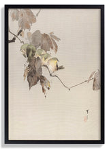 Birds on a Branch by WANTANABE SEITEI - Kuriosis Fine Art GmbH