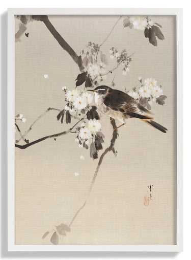 Birds on a Flowering Branch (1887) by WANTANABE SEITEI - Kuriosis Fine Art GmbH