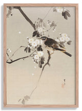 Birds on a Flowering Branch (1887) by WANTANABE SEITEI - Kuriosis Fine Art GmbH