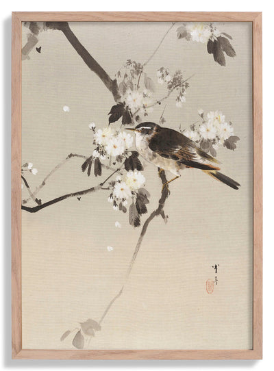 Birds on a Flowering Branch (1887) by Watanabe Seitei