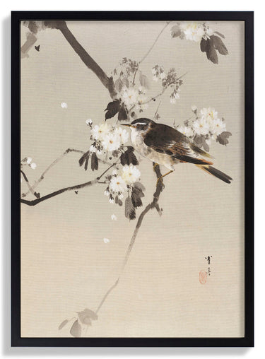 Birds on a Flowering Branch (1887) by WANTANABE SEITEI - Kuriosis Fine Art GmbH