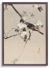 Birds on a Flowering Branch (1887) by WANTANABE SEITEI - Kuriosis Fine Art GmbH