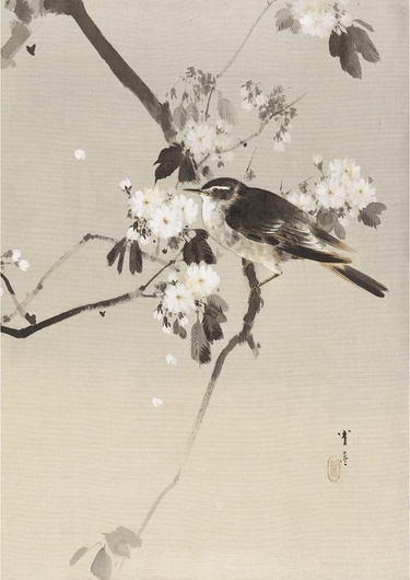 Birds on a Flowering Branch (1887) by WANTANABE SEITEI - Kuriosis Fine Art GmbH