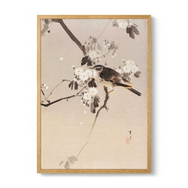 Birds on a Flowering Branch (1887) par Watanabe Seitei
