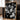 Black And White Daisies by Henrike Schenk - Kuriosis Fine Art GmbH