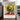 Bouquet of Sunflowers by Claude Monet - Kuriosis Fine Art GmbH