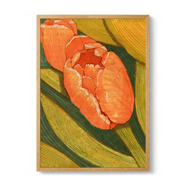Bright Orange Tulips with Green Leaf line drawing by Katie