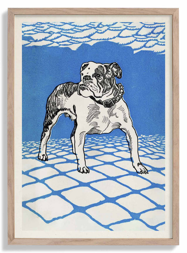 Bulldog di Moritz Jung