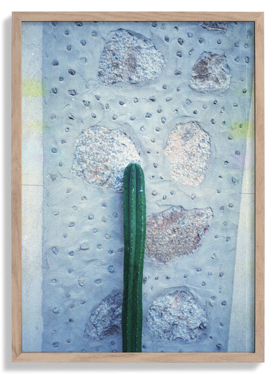 Cactus on Holiday door Andrea Schindler