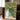 Charming Ivy Door by Henrike Schenk - Kuriosis Fine Art GmbH