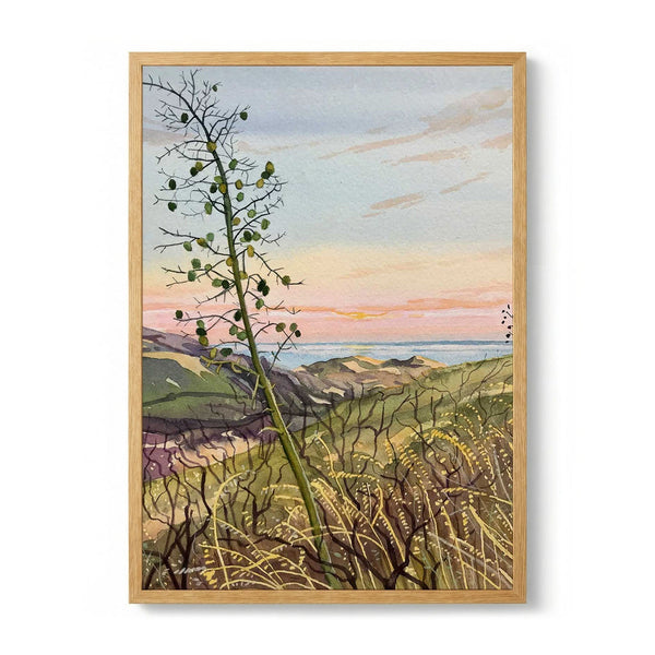 Coastal Plant Sunset View by Luisa Millicent