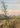 Coastal Plant Sunset View by Luisa Millicent - Kuriosis Fine Art GmbH