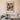 Collection decors et couleurs Pl.06 by Georges Valmier - Kuriosis Fine Art GmbH