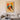 Colorful Bird Gathering by Patryk Krygowski - Kuriosis Fine Art GmbH