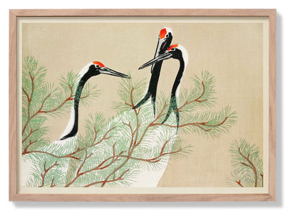 Cranes from Momoyogusa-Flowers by Sekka