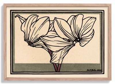 Cyclamen by Julie de Graag