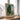 Cypresses by Van Gogh - Kuriosis Fine Art GmbH