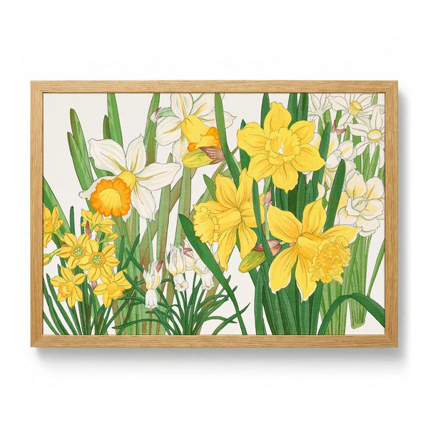 Daffodil No.2 von Tanigami